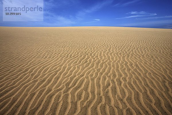 Dünenlandschaft  Dünen von Maspalomas  Strukturen im Sand  Naturschutzgebiet  Gran Canaria  Kanarische Inseln  Spanien  Europa