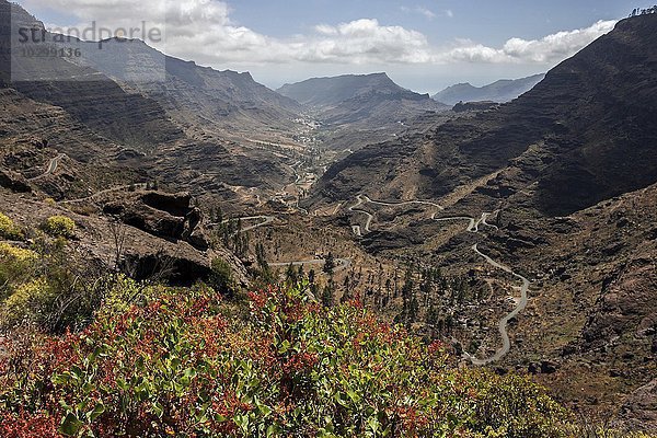 Ausblick auf eine Serpentinenstraße und ein Tal bei Las Casas de Venegueras  Gran Canaria  Kanarische Inseln  Spanien  Europa