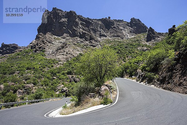 Kurvige Straße  Gran Canaria  Kanarische Inseln  Spanien  Europa