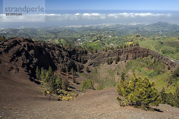 Ausblick auf Lavafelder und den Norden  Gran Canaria  Kanarische Inseln  Spanien  Europa