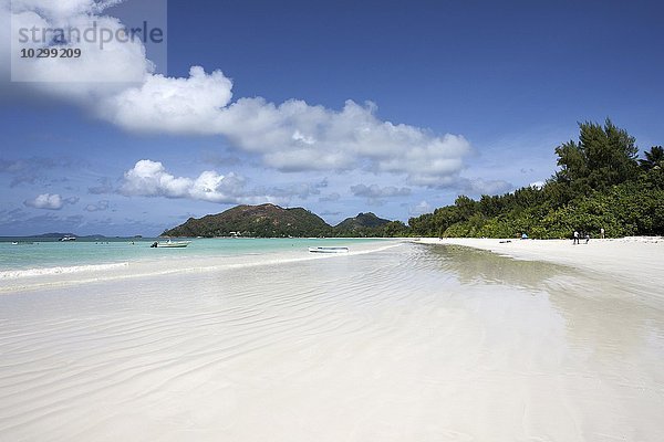 Langer weißer Sandstrand Anse Volbert  Insel Praslin  Seychellen  Afrika