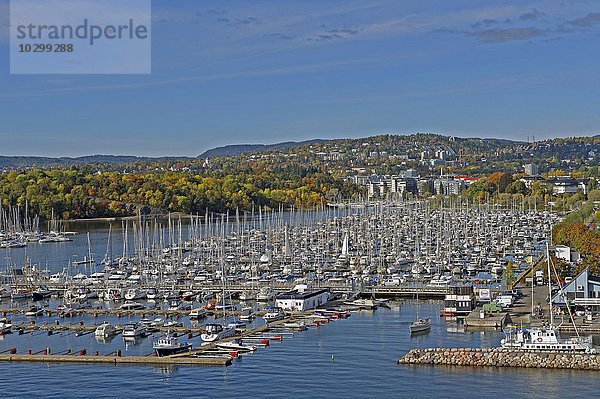 Yachthafen Oslo  hinten Wohngebiete  Oslo  Norwegen  Europa