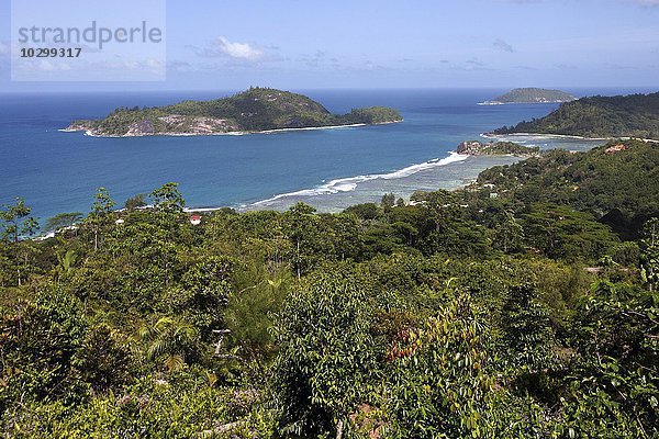 Ausblick auf die Küste und das Meer um Port Glaud  hinten links die Ile Therese  Insel Mahe  Seychellen  Afrika