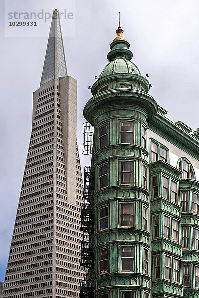 Transamerica Pyramid und Francis Coppola Building  San Francisco  Kalifornien  USA  Nordamerika