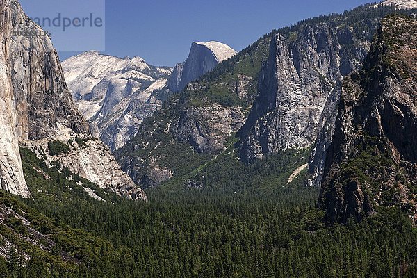 Ausblick vom Tunnel View ins Yosemite Valley  hinten Half Dome  Yosemite Nationalpark  Kalifornien  USA  Nordamerika