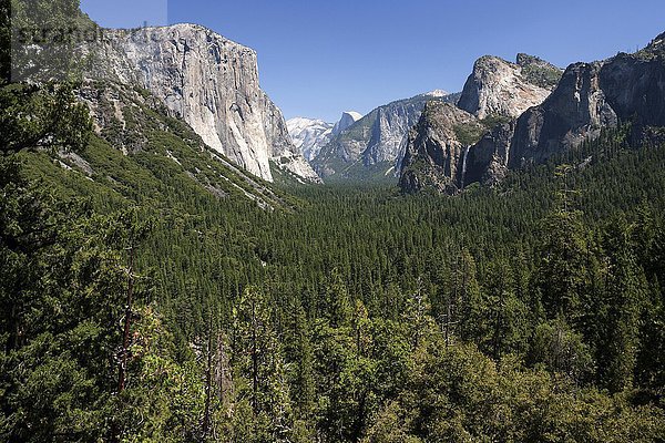 Ausblick vom Tunnel View ins Yosemite Valley  links El Capitan  Yosemite Nationalpark  Kalifornien  USA  Nordamerika