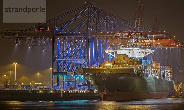Container-Schiff im Hafen  Containerterminal  Hamburg  Deutschland  Europa