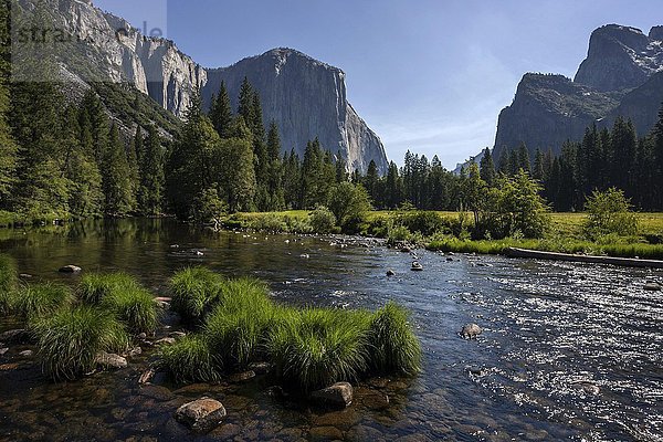 Merced River  hinten links El Capitan  hinten rechts Cathedral Rocks  Yosemite Valley  Yosemite Nationalpark  USA  Nordamerika