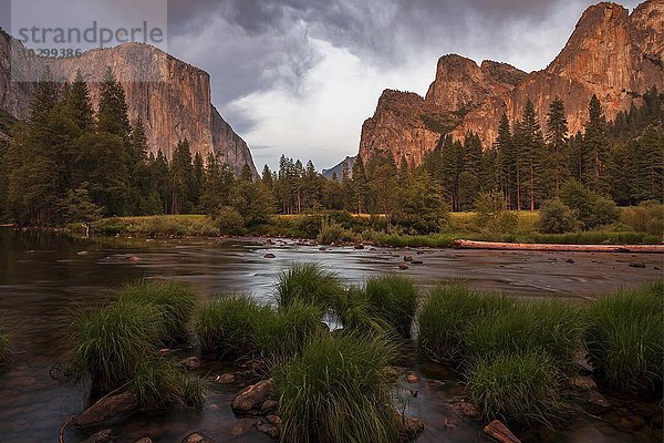 Merced River  hinten links El Capitan  hinten rechts Cathedral Rocks  Abendlicht  Yosemite Valley  Yosemite Nationalpark  USA  Nordamerika