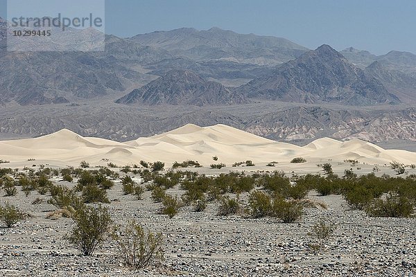 Mesquite Flat Sanddünen  Death Valley Nationalpark  Mojave-Wüste  Kalifornien  USA  Nordamerika