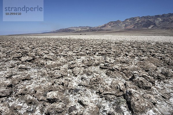 Salzkrusten am Devil's Golf Course  hinten Panamint Range Bergkette  Black Mountains  Death Valley Nationalpark  Mojave-Wüste  Kalifornien  USA  Nordamerika