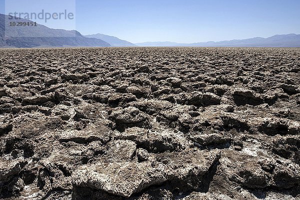 Salzkrusten am Devil's Golf Course  Death Valley Nationalpark  Mojave-Wüste  Kalifornien  USA  Nordamerika