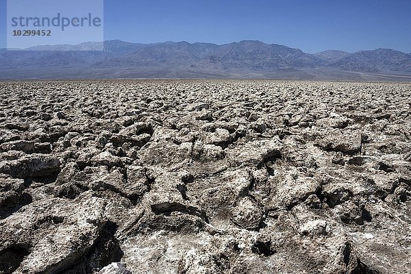 Salzkrusten am Devil's Golf Course  hinten Panamint Range Bergkette  Black Mountains  Death Valley Nationalpark  Mojave-Wüste  Kalifornien  USA  Nordamerika