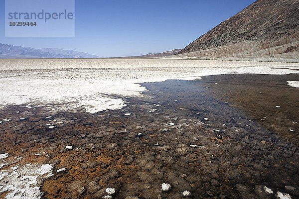 Salzkruste auf der Salzpfanne des Badwater Basin  tiefster Punkt Nordamerikas  Death Valley  Mojave Wüste  Kalifornien  USA  Nordamerika