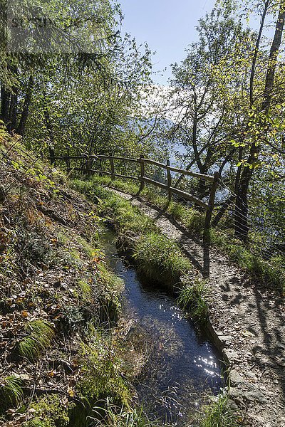 Kuenser Waalweg  Kuens  Südtirol  Trentino-Alto Adige  Italien  Europa