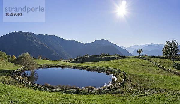 Teich bei der Zisloner Alm  Truden  Trodena  Trentino-Alto Adige  Südtirol  Italien  Europa