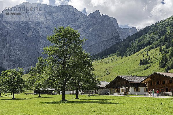 Bauernhäuser  Almhäuser Almdorf Eng  Eng-Alm  hinten die Laliderer-Wände  Karwendel  Tirol  Österreich  Europa