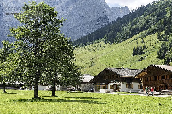 Bauernhäuser  Almhäuser  Almdorf Eng  Eng-Alm  hinten die Laliderer-Wände  Karwendel  Tirol  Österreich  Europa