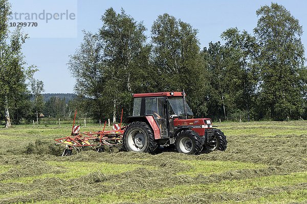 Traktor wendet Heu  Benediktbeurer Moos oder Moor  Benediktbeuern  Oberbayern  Bayern  Deutschland  Europa