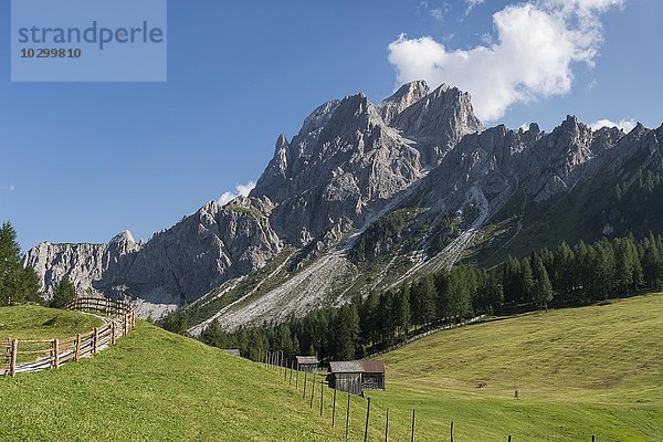 Rotwandwiesen mit Sextner Rotwand oder Zehnerkofel  Naturpark Drei Zinnen  UNESCO Weltnaturerbe  Sextner Dolomiten  Alpen  Provinz Südtirol  Alto Adige  Italien  Europa