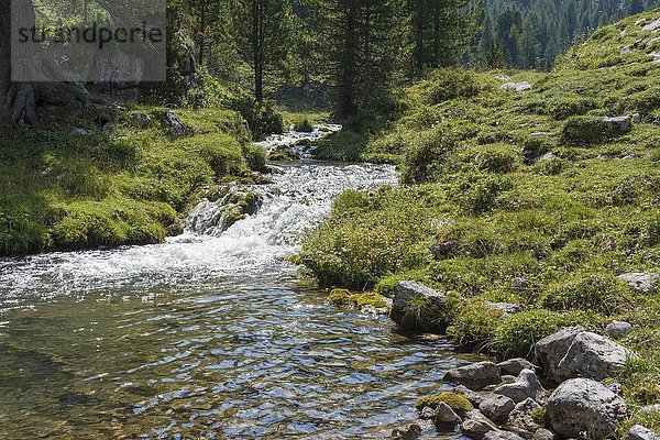 Gebirgsbach  Kleine Fanesalm  Fanes-Gruppe  Naturpark Fanes-Sennes-Prags  Dolomiten  Südtirol  Alpen  Trentino-Alto Adige  Italien  Europa