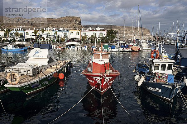 Fischerboote im Hafen  Puerto de Mogan  Gran Canaria  Kanarische Inseln  Spanien  Europa