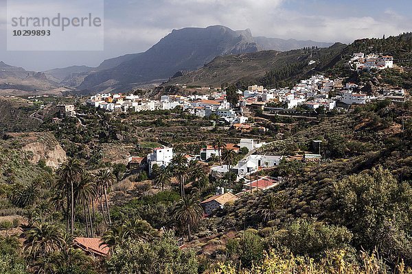 Ausblick auf San Bartolome de Tirajana  Gran Canaria  Kanarische Inseln  Spanien  Europa