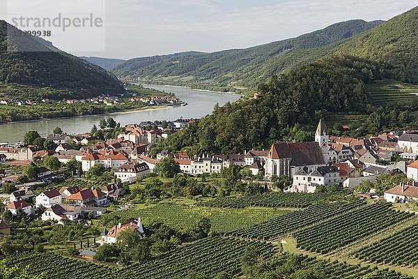 Blick über Weinberge auf Spitz an der Donau  Tausendeimerberg  Wachau  Waldviertel  Niederösterreich  Österreich  Europa