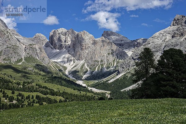 Geislergruppe mit Col Dala Cruso  vorne  und Piz Duleda  hinten Mitte  im Sommer  Dolomiten  Italien  Europa