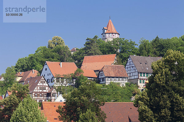 Altstadt von Möckmühl mit Burg  Jagst  Landkreis Heilbronn  Baden-Württemberg  Deutschland  Europa