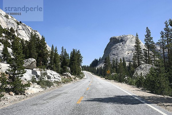 Rioga Road  hinten rechts Pywiack Dome  Yosemite Nationalpark  Kalifornien  USA  Nordamerika