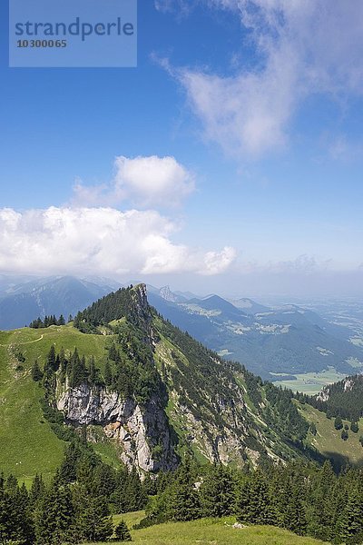 Zwölferspitz bei Marquartstein  Chiemgauer Alpen  Chiemgau  Oberbayern  Bayern  Deutschland  Europa