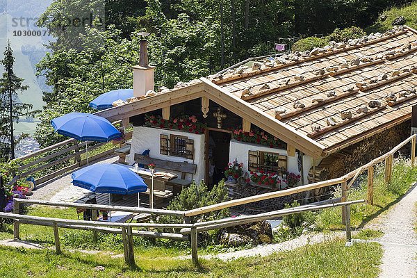 Moaralm-Hütte am Hochgern  Chiemgauer Alpen  Chiemgau  Oberbayern  Bayern  Deutschland  Europa