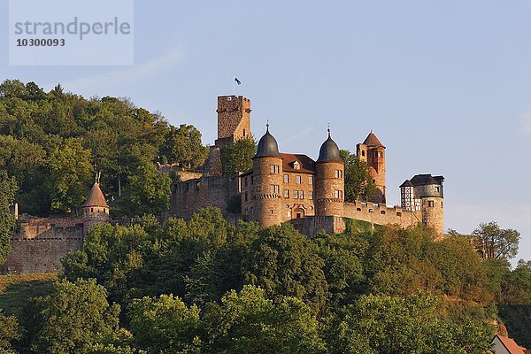 Burg Wertheim  Baden-Württemberg  gesehen von Kreuzwertheim in Unterfranken  Bayern  Deutschland  Europa