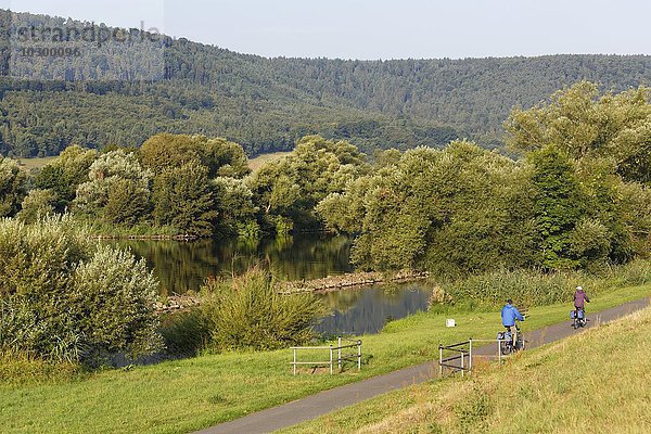 Radfahrer auf Main-Radweg  Main in Großheubach  Spessart  Unterfranken  Franken  Bayern  Deutschland  Europa