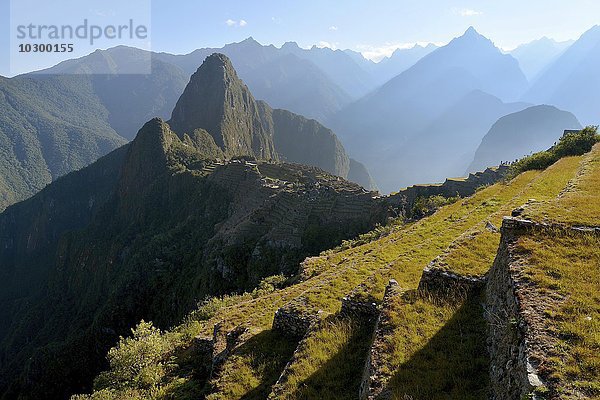 Ausblick über Terassen auf Machu Picchu bei Sonnenaufgang  Peru  Südamerika