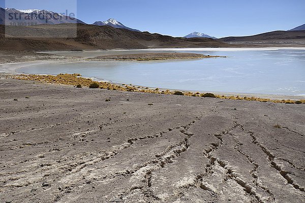 Laguna Hedionda mit Strukturen von Erosion am Ufer  bei Uyuni  Lipez  Bolivien  Südamerika