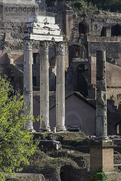 Forum Romanum  Rom  Latium  Italien  Europa