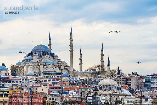 Asien Goldenes Horn Istanbul Süleymaniye-Moschee Türkei
