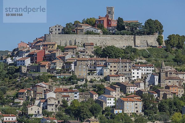 Idyllisches Dorf auf Hügel mit venezianischer Festung  Motovun  Istrien  Kroatien  Europa