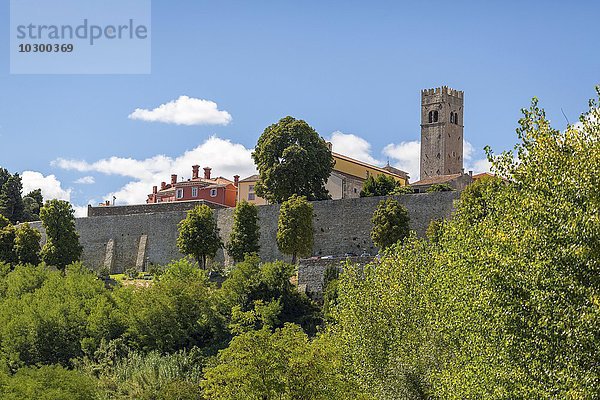 Venezianische Festung mit Stadtmauer und Wehrturm  Motovun  Istrien  Kroatien  Europa