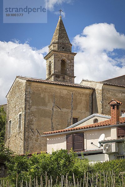 Venezianische Kirche Crkva Bla?ene Djevice Marije dei Servi  vorne Weinstöcke  Motovun  Istrien  Kroatien  Europa