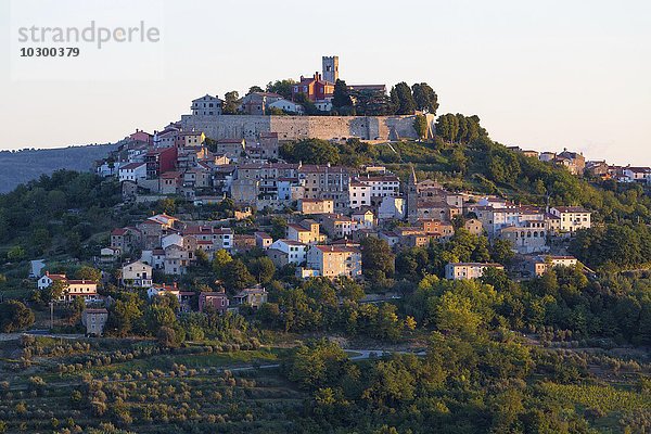 Idyllisches Dorf auf Hügel mit venezianischer Festung im Morgenlicht  Motovun  Istrien  Kroatien  Europa
