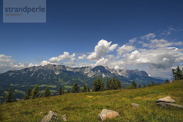 Ausblick vom Brandstadl auf den Wilden Kaiser mit Wolkenhimmel  Scheffau am Wilden Kaiser  Tirol  Österreich  Europa