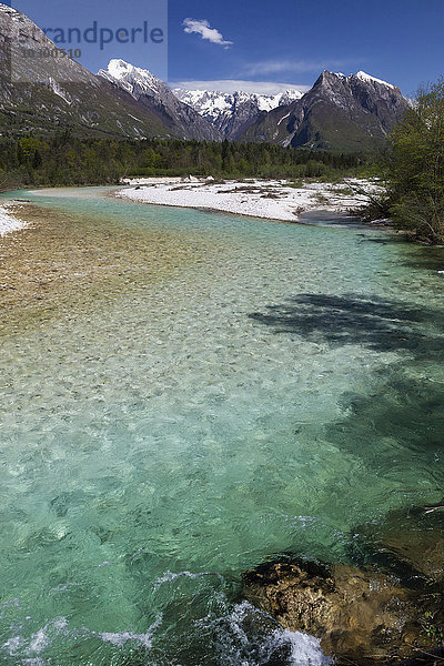 Gebirgsfluss Soca mit kristallklarem  türkisblauen Wasser  Bovec  Kanin Gebirge  Julische Alpen  Slowenien  Europa