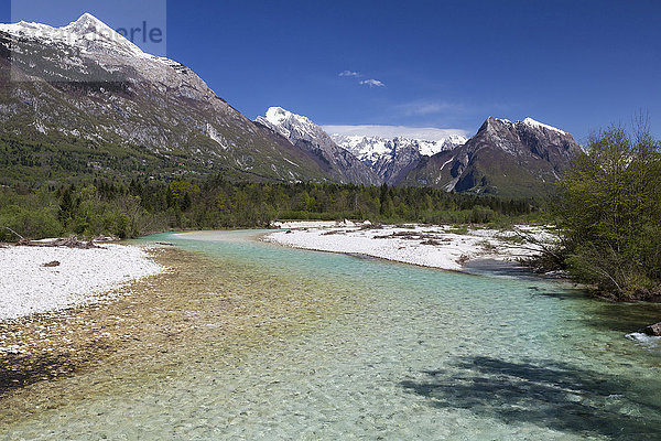 Gebirgsfluss Soca mit kristallklarem  türkisblauen Wasser  Bovec  Kanin Gebirge  Julische Alpen  Slowenien  Europa