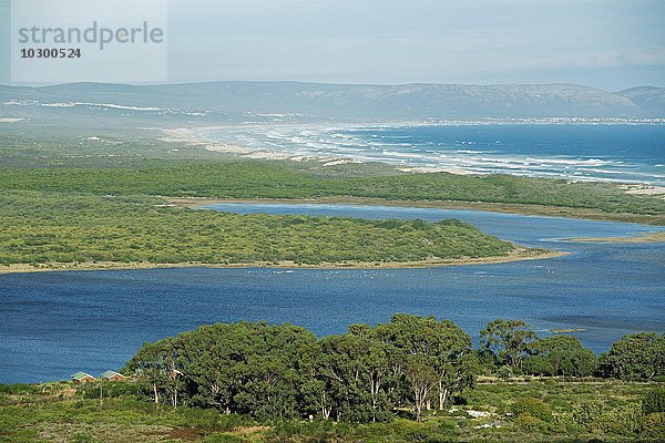 Ausblick auf das Naturschutzgebiet Walker Bay  bei Hermanus  Garden Route  Westkap  Südafrika