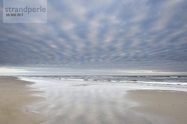 Strand an der Nordsee  bewölkter Himmel  Texel  Westfriesische Inseln  Nordholland  Niederlande  Europa