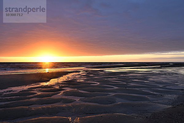 Sonnenuntergang bei Ebbe  Nordsee  Texel  Westfriesische Inseln  Nordholland  Niederlande  Europa