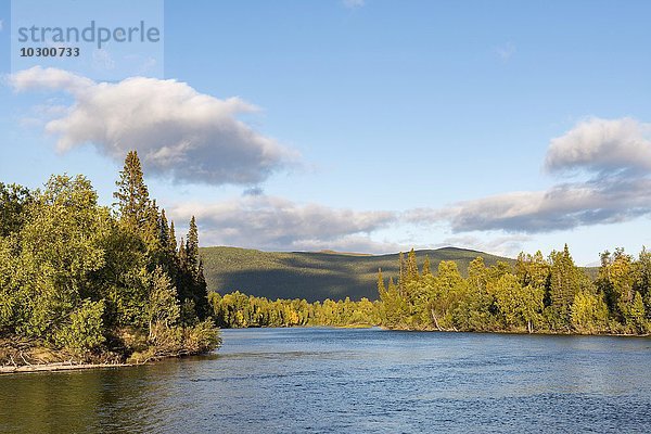 Flusslandschaft am Tarraätno  Kvikkjokk  Laponia  Norrbotten  Lappland  Schweden  Europa